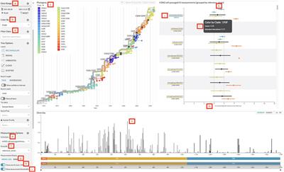 Joint visualization of seasonal influenza serology and phylogeny to inform vaccine composition